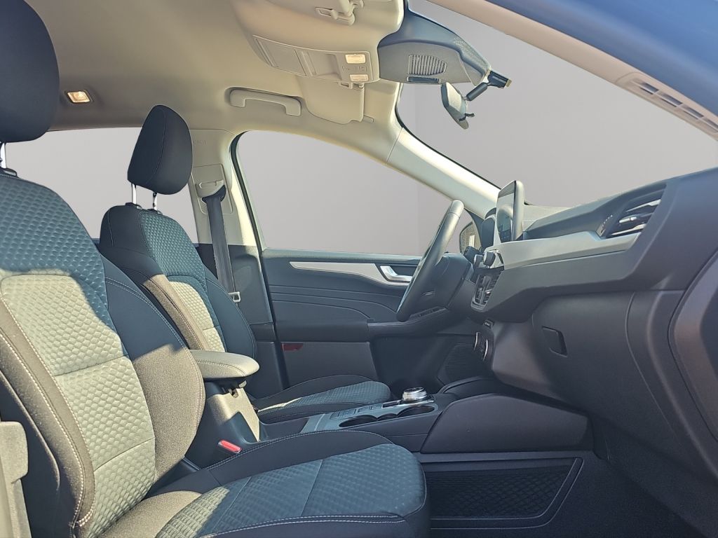 Fahrzeugabbildung Ford Kuga PHEV C&C *CARPLAY*NAVI*SHZ*